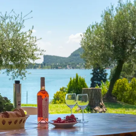 On Lake Garda With Pebble Beach Pier For Boat Three Swimming Pools 度假居